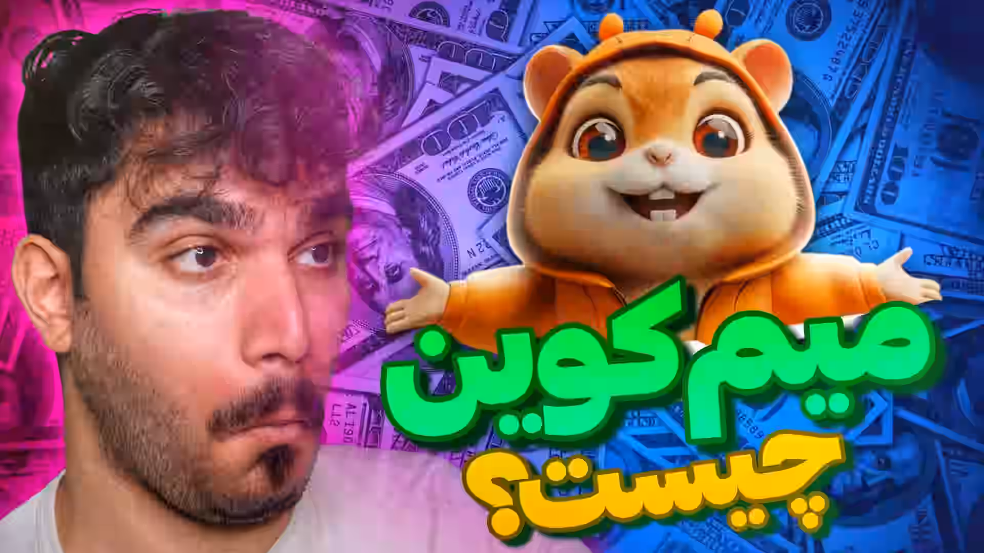 میم کوین چیست ؟ آینده همستر کمبات و نات کوین و تپ سواپ