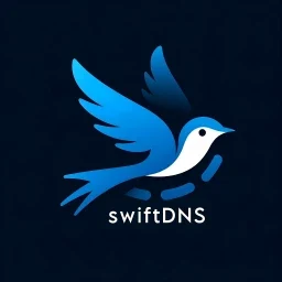 ورود به بازی بدون فیلترشکن با دی ان اس سوئیفت | Swift DNS 